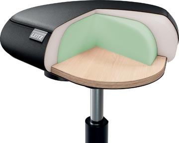Leitz Leitz Ergo actieve Zitkruk met comfortzitting, met wieltjes, zwart