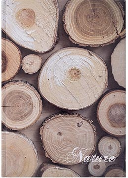 Office Products OFFICE products schrift, Nature, met harde kaft, A4, 96 blad, met kantlijn, geruit 5mm