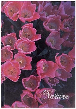 Office Products OFFICE products schrift, Nature, met harde kaft, A4, 96 blad, met kantlijn, geruit 5mm
