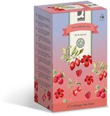 Q-CONNECT Q-CONNECT thee, fruit infusion, zakje van 1,5 g, doos van 20 zakjes