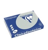 Clairefontaine Clairefontaine Trophée Pastel, gekleurd papier, A3, 80 g, 500 vel, lichtgrijs