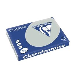 Clairefontaine Clairefontaine Trophée Pastel, gekleurd papier, A3, 80 g, 500 vel, lichtgrijs