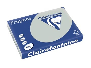 Clairefontaine Clairefontaine Trophée Pastel, gekleurd papier, A3, 80 g, 500 vel, lichtgrijs
