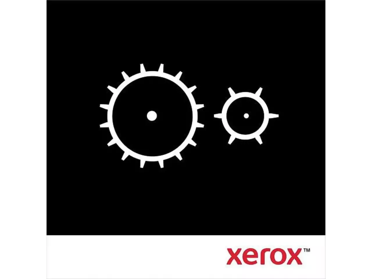 XEROX (116R00039) Versalink (original)