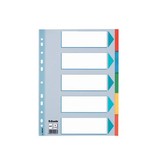Esselte Esselte tabbladen, voor ft A4, uit karton, 5 tabs, geassorteerde kleuren