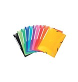 Exacompta Exacompta Iderama elastomap met 3 kleppen, met rugetiket, geassorteerde kleuren