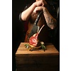 BBQ  Workshop - Lopez Specials -  15 februari 17:00 -  21:00