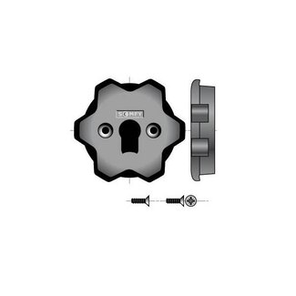 Somfy Adaptation de la culasse du LT40 au LT50