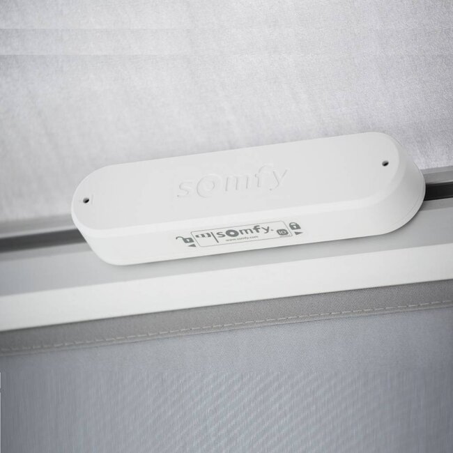 Somfy Eolis 3D Drahtloser Windsensor RTS