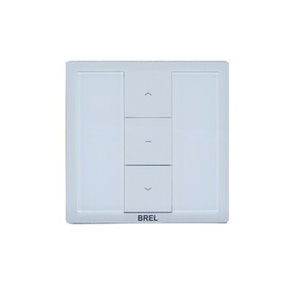 Brel DD1690 flush-mounted receiver with Switch