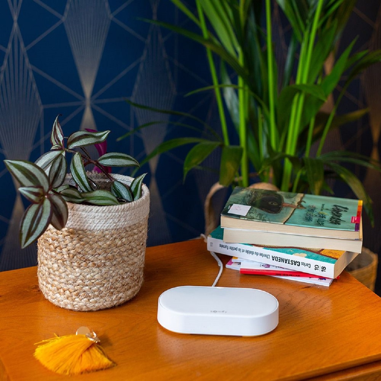 Somfy Connectivity kit, foto 6 van 6