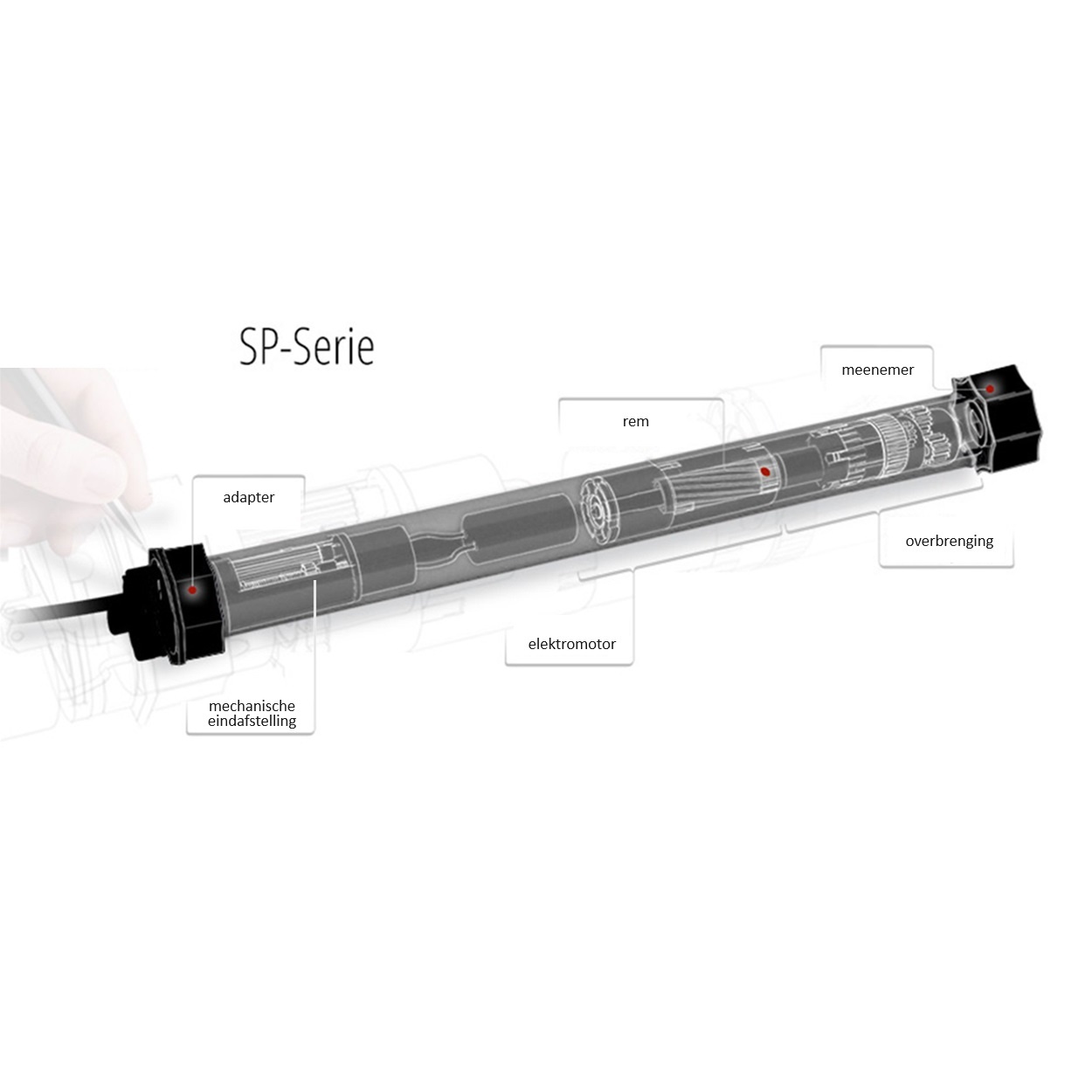 Selve SP, type 1 buismotor, foto 6 van 6