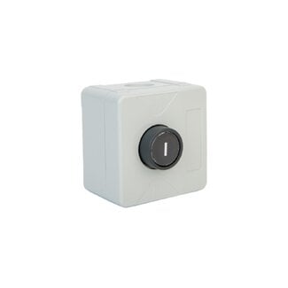 Geba Surface-mounted push-button switch impulse IP65