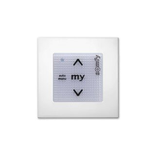 Somfy Smoove uno IB+ Rein