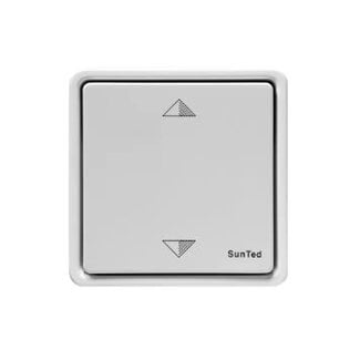 Tedsen SKX2W émetteur mural à 2 canaux