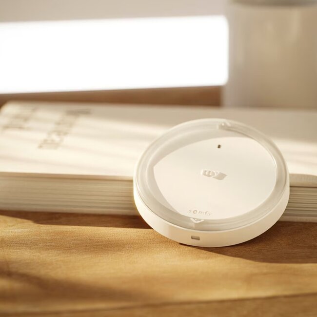 Somfy Amy 1 io 1-Kanal-Wandsender mit Temperaturfühler - Copy - Copy