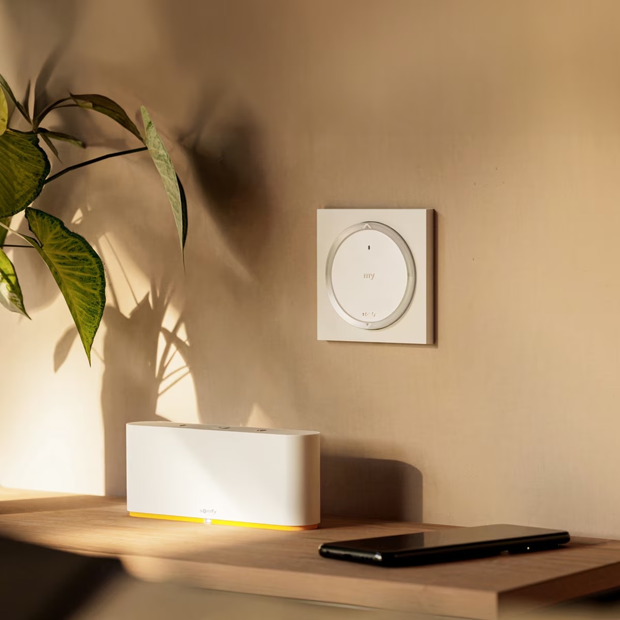Somfy Amy 1 A/M modes io vierkant frame, foto 3 van 3