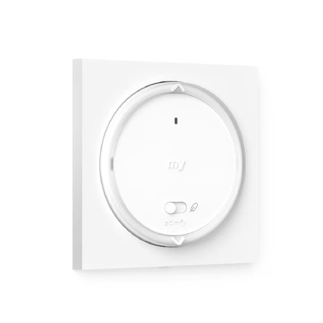 Somfy Amy 1 RS100 io, cadre carré inclus
