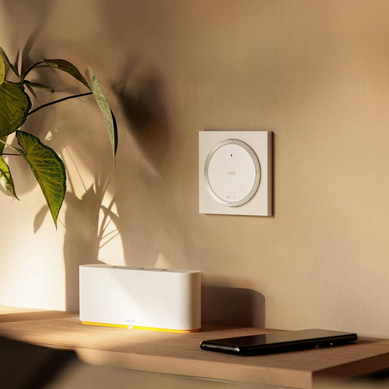 Somfy Amy 1 RS100 io vierkant frame, foto 5 van 5