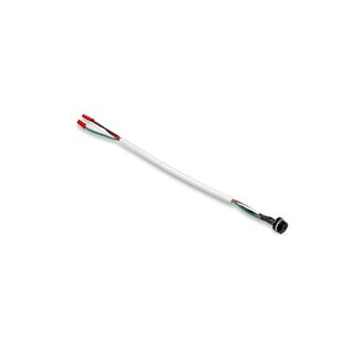 Cherubini Câble de connexion Cherubini avec fiche F pour chargeur