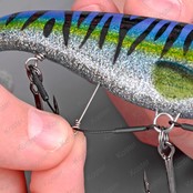 Softbait Spiral Stinger
