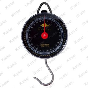 Treasure Scale