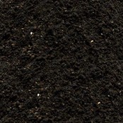 Carpmaster Expanda Big Fish