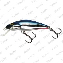 Bullhead 6F Red Tailed Shiner