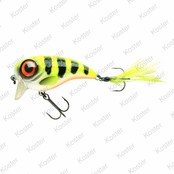 Fat Iris Hot Perch Fat Iris Hot Perch
