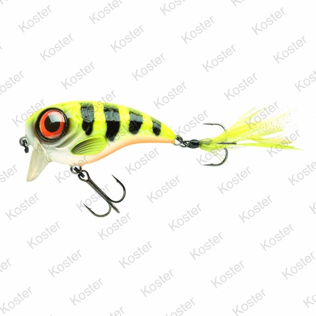 Fat Iris Hot Perch Fat Iris Hot Perch