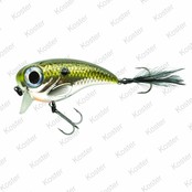Fat Iris Shad
