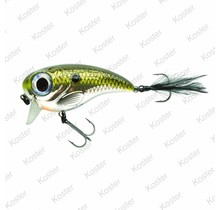 Fat Iris Shad