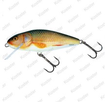 Perch Floating 8cm Real Roach