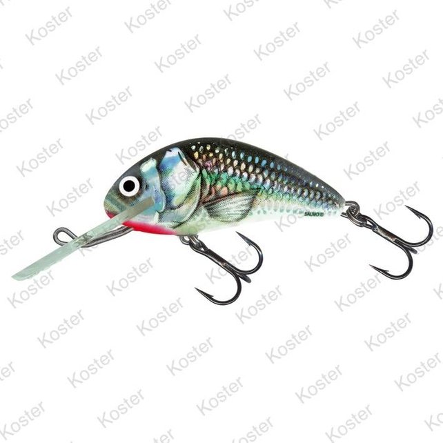 Hornet Floating Holographic Grey Shiner  4cm