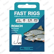 Coarse Roach 45cm. Coarse Roach 45cm.