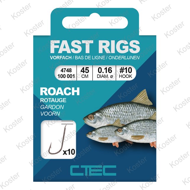 Coarse Roach 45cm. Coarse Roach 45cm.