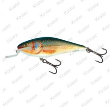 Executor Shallow Runner Real Roach 12cm