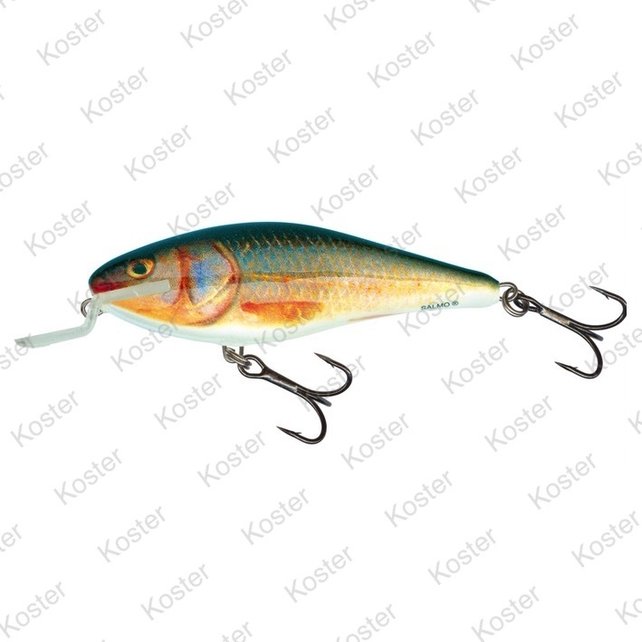 Executor Shallow Runner Real Roach 12cm Executor Shallow Runner Real Roach 12cm