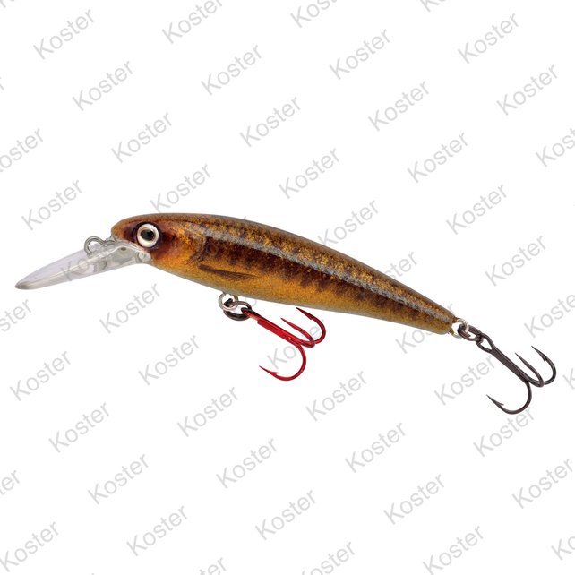 Ikiru Micro Jerk 50F - Varion Ikiru Micro Jerk 50F - Varion