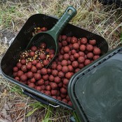 Bait Scoop - Small Bait Scoop - Small