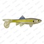 Berkley PowerBait Sick Fish 10cm - Chartreuse Shad