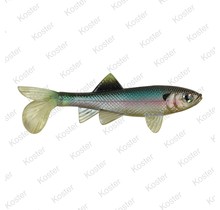 PowerBait Sick Fish 10cm - Green Penny