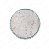 Glow-in-the-Dark Trout Bait White Glow-in-the-Dark Trout Bait White