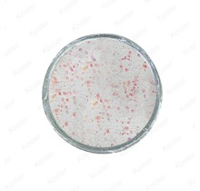 Glow-in-the-Dark Trout Bait White