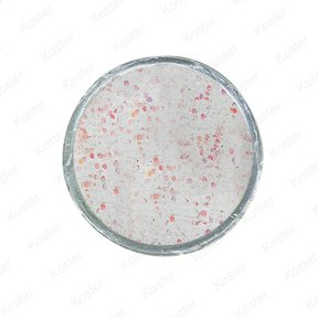 Glow-in-the-Dark Trout Bait White