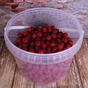Baits Premium Boilies Strawberry 2.5 kg