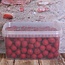 HK-Baits Premium Boilies Strawberry 1 kg