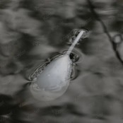 Interceptor Float Controller