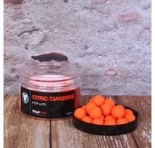 Citric-Tangerine Pop-ups