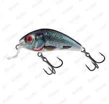 Rattlin' Hornet Holographic Real Dace Floating 4.5cm